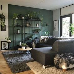 a living room filled with furniture and lots of plants on the wall above it's windows