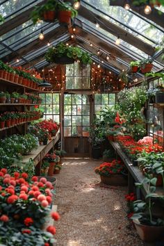 an indoor greenhouse filled with lots of potted plants and flowers on shelves under lights