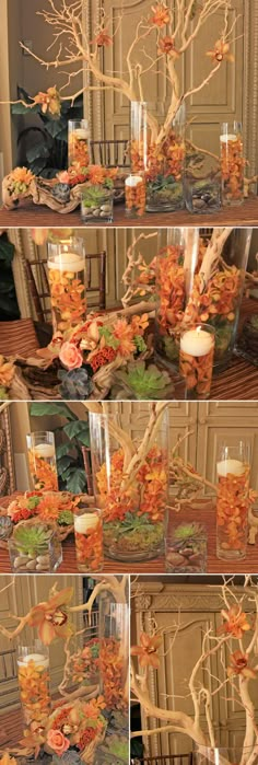 there are many different pictures of trees in vases with candles on the top and bottom