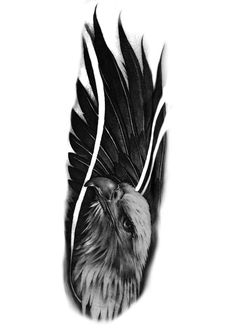 a black and white photo of a bird with feathers on it's back side