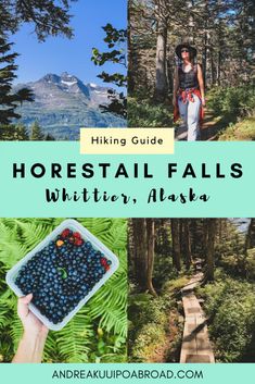 the hiking guide for horsetail falls in whitefish, alaska with text overlay