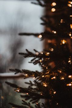 a close up of a christmas tree with lights on the branches by an open window