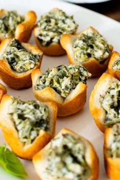 small appetizers with spinach and cheese on a white plate