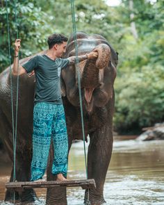 a man standing on the back of an elephant in water with ropes attached to it's trunk