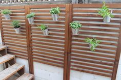 several potted plants are hanging on the side of a fence