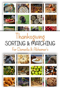 the cover of thanksgiving sorting and matching for dennia & alhammer's