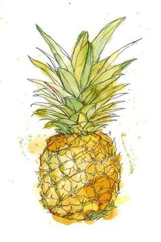 a drawing of a pineapple on a white background