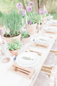 an outdoor table set with plates and place settings, flowers in potted planters