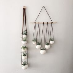 several air plants are hanging on the wall next to a pair of long wooden sticks