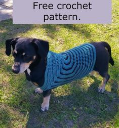 a black and white dog wearing a blue crochet sweater with the words free crochet pattern