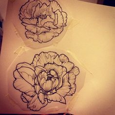 two drawings of flowers sitting on top of a piece of paper