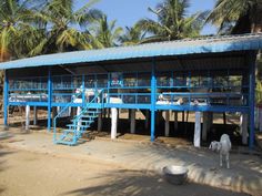 a blue metal structure with stairs and railings on the beach next to palm trees