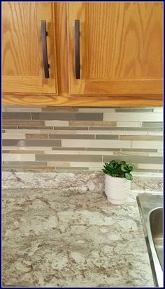 a kitchen counter top with a potted plant on it