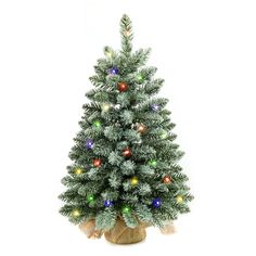 PRICES MAY VARY. PVC MATERIAL-The artificial mini Christmas tree is mainly made of Pvc pine needle material, which not only with waterproof, but also increases the tree's anti-crushing ability. It has a longer lifespan and will not fade and collapse. Enjoy all year round.Year after year this small tree will bring a cheery touch of Christmas. TIMER-The prelit christmas tree with automatic light timer.When you insert 3 AA batteries (not included), press the button and it turns on the LED lights fo Tabletop Christmas Trees, Dining Room Window, Decoration For Kitchen, Mini Christmas Trees, Dining Room Windows, Pre Lit Christmas Tree, Room Window, Tabletop Christmas Tree, Small Christmas Trees