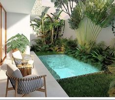 a small pool surrounded by lush green plants