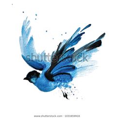 a blue bird with black wings flying through the air, painted in watercolor on white paper