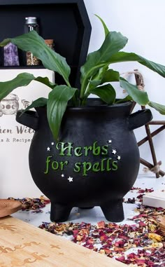 a potted plant with the words herbs for spells written on it, sitting in front of a wooden table