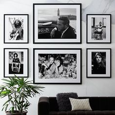 black and white photographs hang on the wall above a couch with a plant in front of it