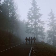 three people walking down a road in the fog