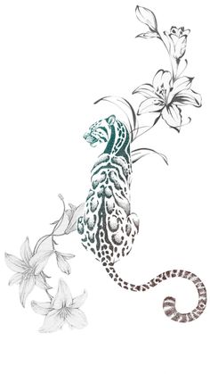 a drawing of a peacock and flowers on a white background