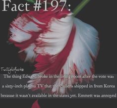 a red and white flower with the words fact 19 7 on it's side