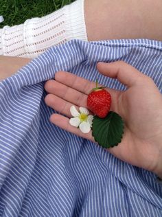 a person is holding a strawberry and flower in their hand while laying on the grass