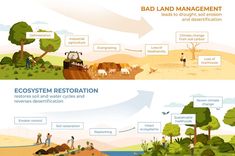 two different stages of the land management process