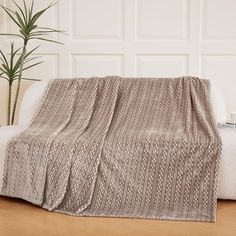 a couch with a blanket on top of it next to a potted plant