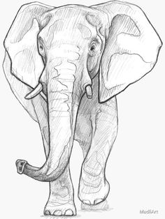 an elephant is standing in the middle of a drawing with a pencil on it's side