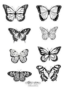 butterflies are shown in black and white, with one butterfly on the left side of the image