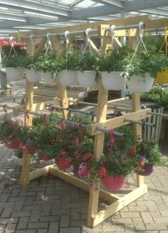 several potted plants are hanging from wooden racks