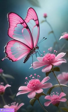 a pink butterfly sitting on top of flowers