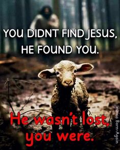 a sheep standing in the middle of a forest with an image of jesus behind it