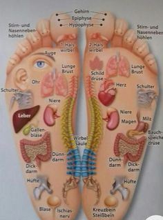 Punkty Spustowe, Full Body Massage Techniques, Reflexology Foot Chart, Foot Reflexology Massage, Body Massage Techniques, Bolesti Chrbta, Hand Reflexology, Massage Therapy Techniques, Reflexology Chart