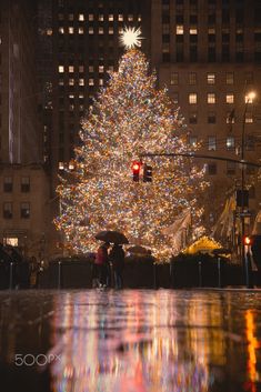 a large christmas tree is lit up in the city at night with people under it