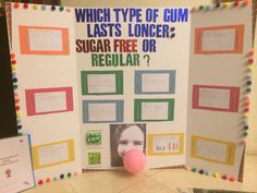 a bulletin board with pictures on it and a pink ball next to it, which says which type of gum lasts longer? sugar free or regular?