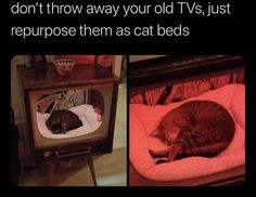 two pictures of cats sleeping in their beds