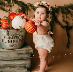 a baby girl in a tutu holding pumpkins