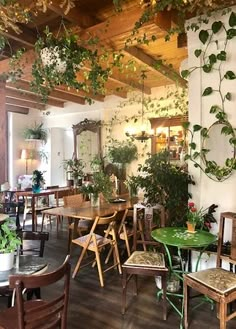 a restaurant with tables, chairs and plants hanging from the ceiling