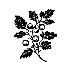 a black and white drawing of leaves and berries