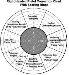 Land Development, Fire Arms, Shooting Targets, Shooting Sports, Personal Defense, Steyr, Skill Training, Survival Tips