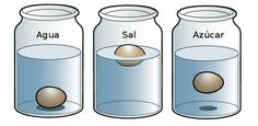 three jars containing water and an egg are labeled with the names of each substance in them