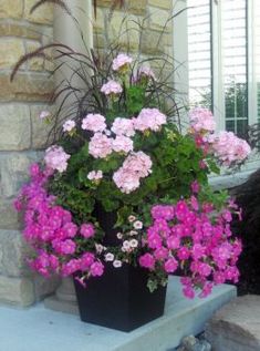 pink and white flowers are in a black pot on the steps outside an apartment building