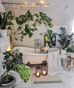 a bathroom with plants and candles in the bathtub, along with other decor items