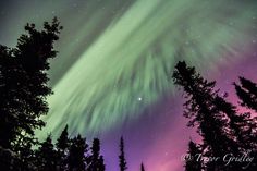 an aurora bore is seen in the sky above some trees