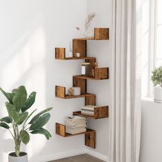 a plant in a white room next to a wooden shelf filled with books and magazines