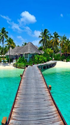 a wooden dock leading to a tropical island