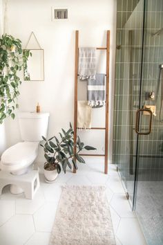 a bathroom with a toilet, shower and plants in the corner on the rugs