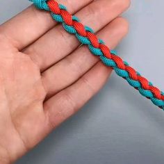 a hand holding a blue and red rope