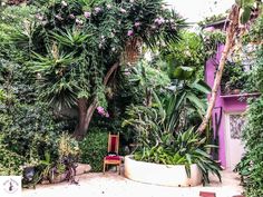 an outdoor area with lots of trees and plants on the side of the building, surrounded by greenery